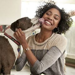 Dog licking woman lovingly.