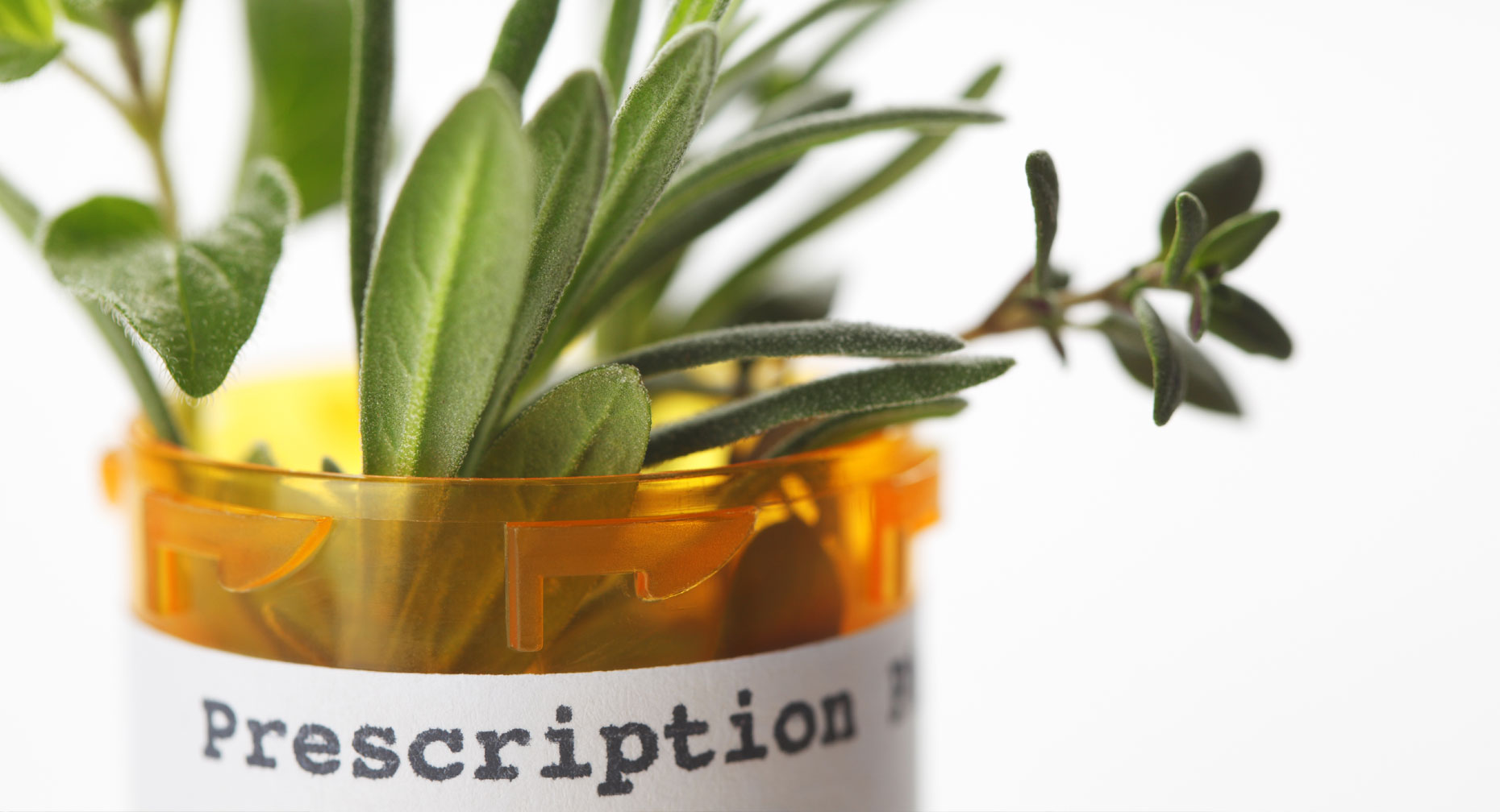 Natural? Prescription? 5 Treatment Options for Menopause Relief